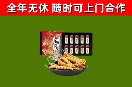 叙永回收冬虫夏草价格